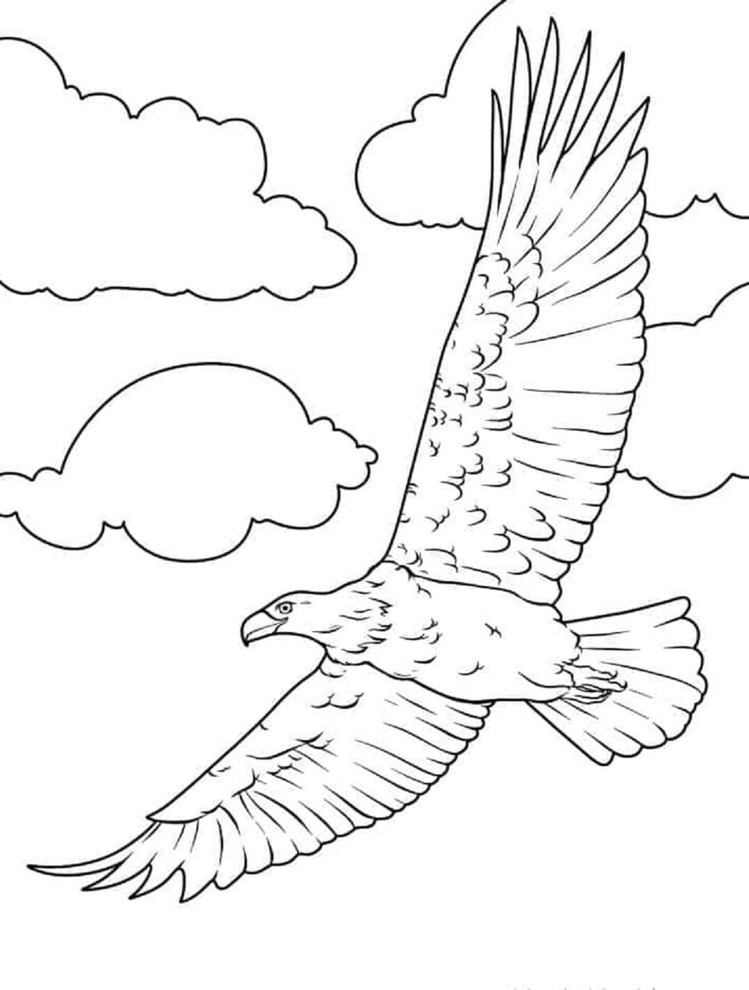 Eagle Flying With Clouds coloring page