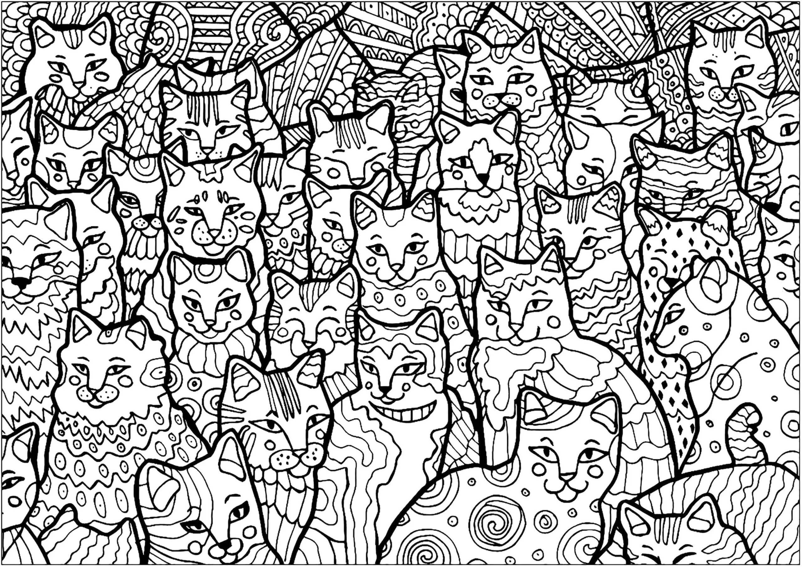 Trippy Cat coloring page