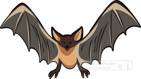 bat flying