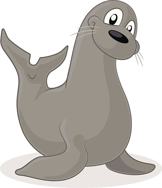 Seal Clipart Clipart Sealselephantseal728 Classroom Clipart | Images ...