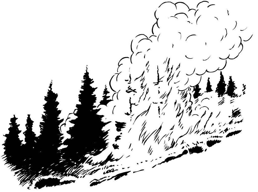 black and white forest fire clipart - Clip Art Library