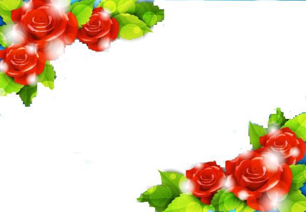 Flower Border Design For Portfolio