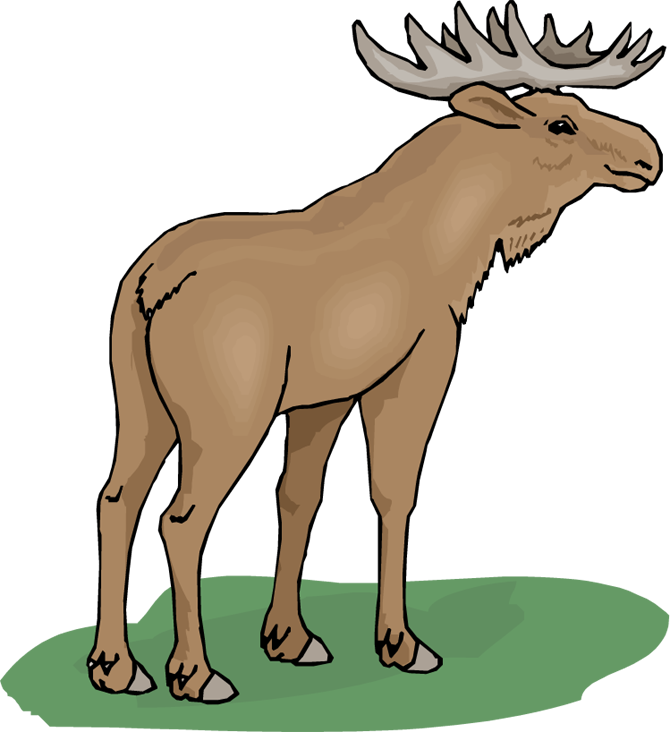 moose animals - Clip Art Library