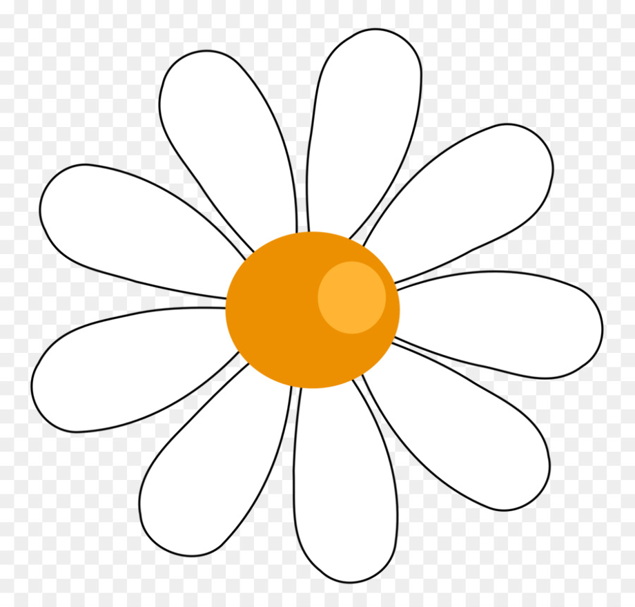 Cartoon Daisy Flower Wallpaper Gambar Bunga Images