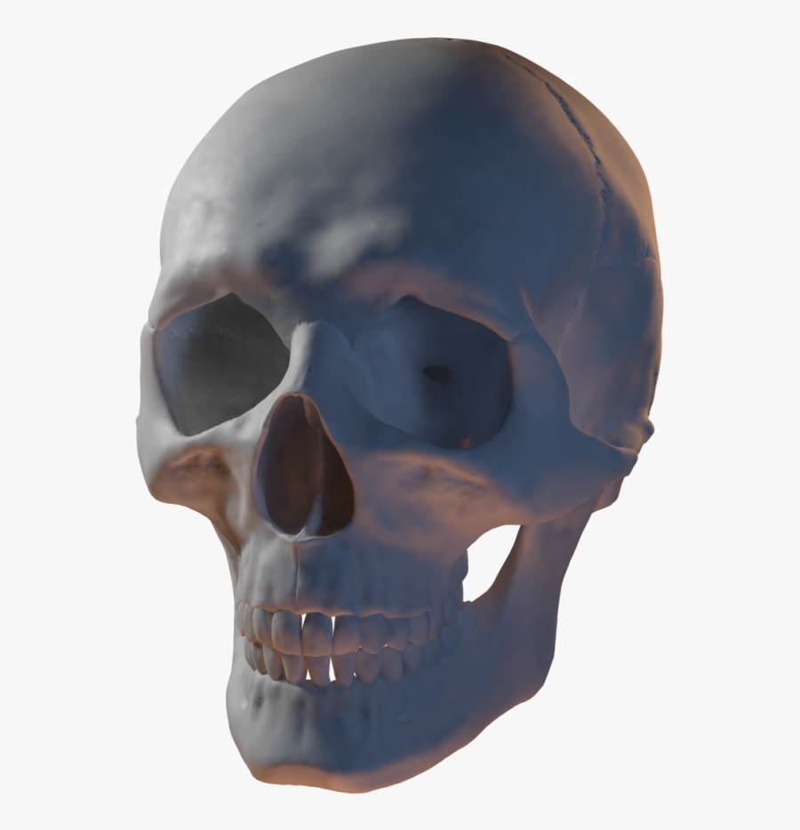 Clip Art 3d Skull.