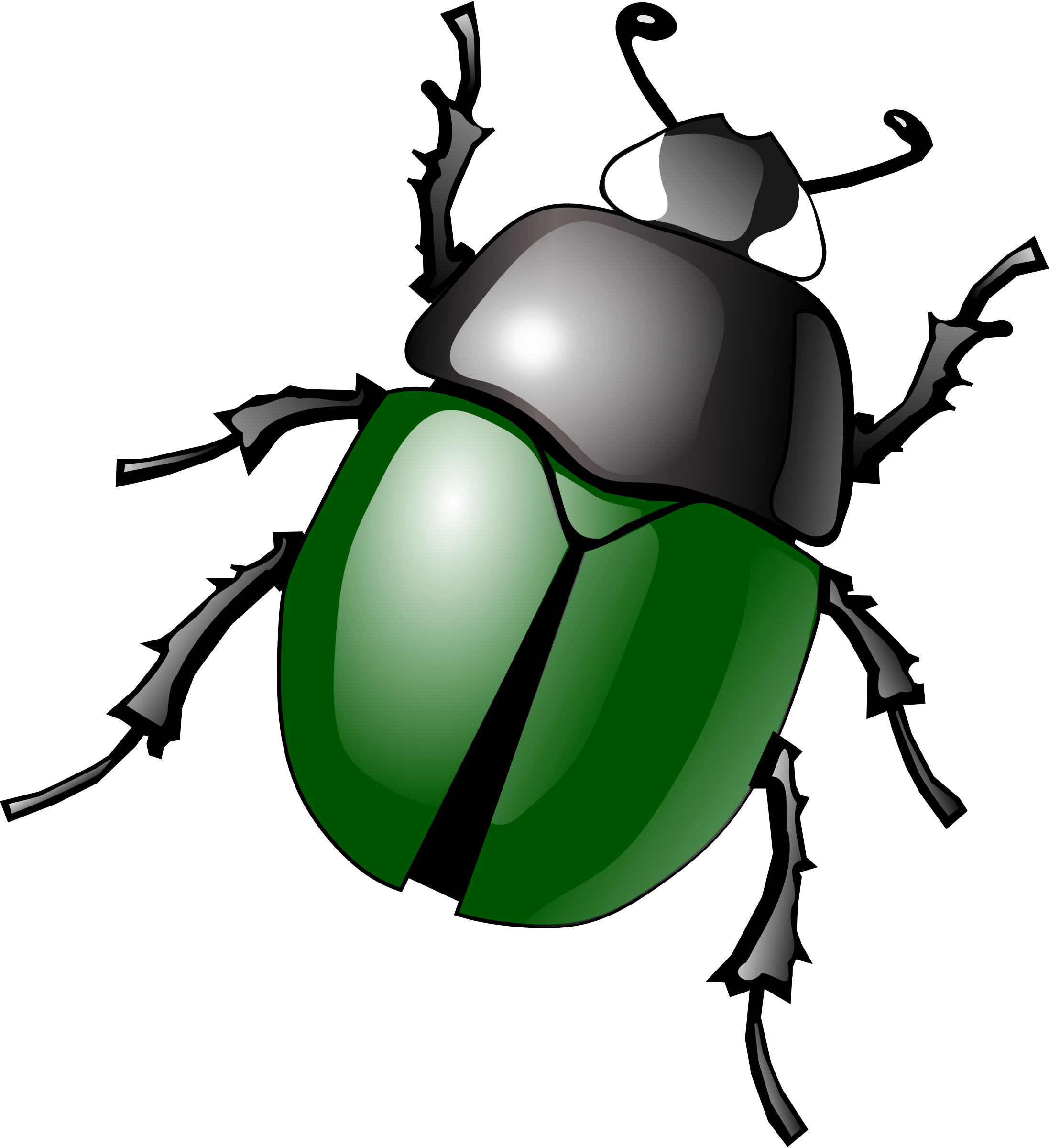 Bug clipart png 1 » PNG Image.