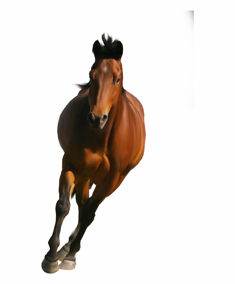 Clipart Brown Horse Png Image, Free Download Picture.