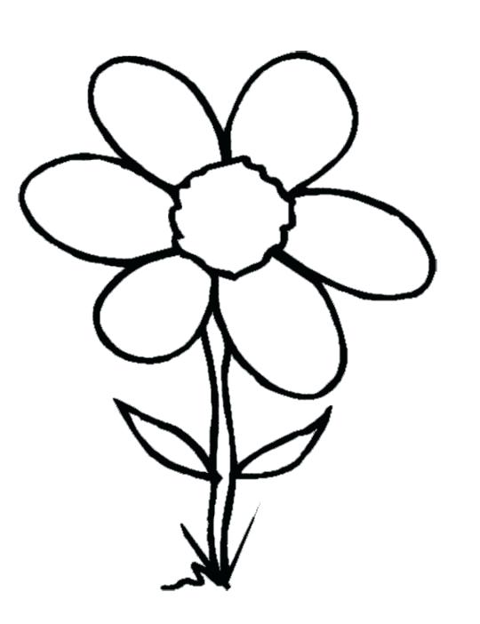 Flower Clipart Pin White Flower Flower Coloring 1 Flower.