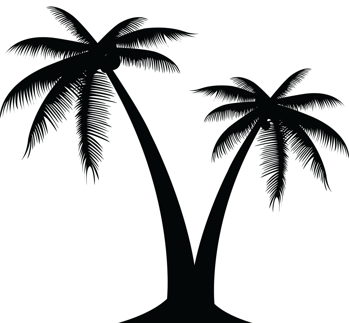 Portable Network Graphics Vector graphics Palm trees Clip.