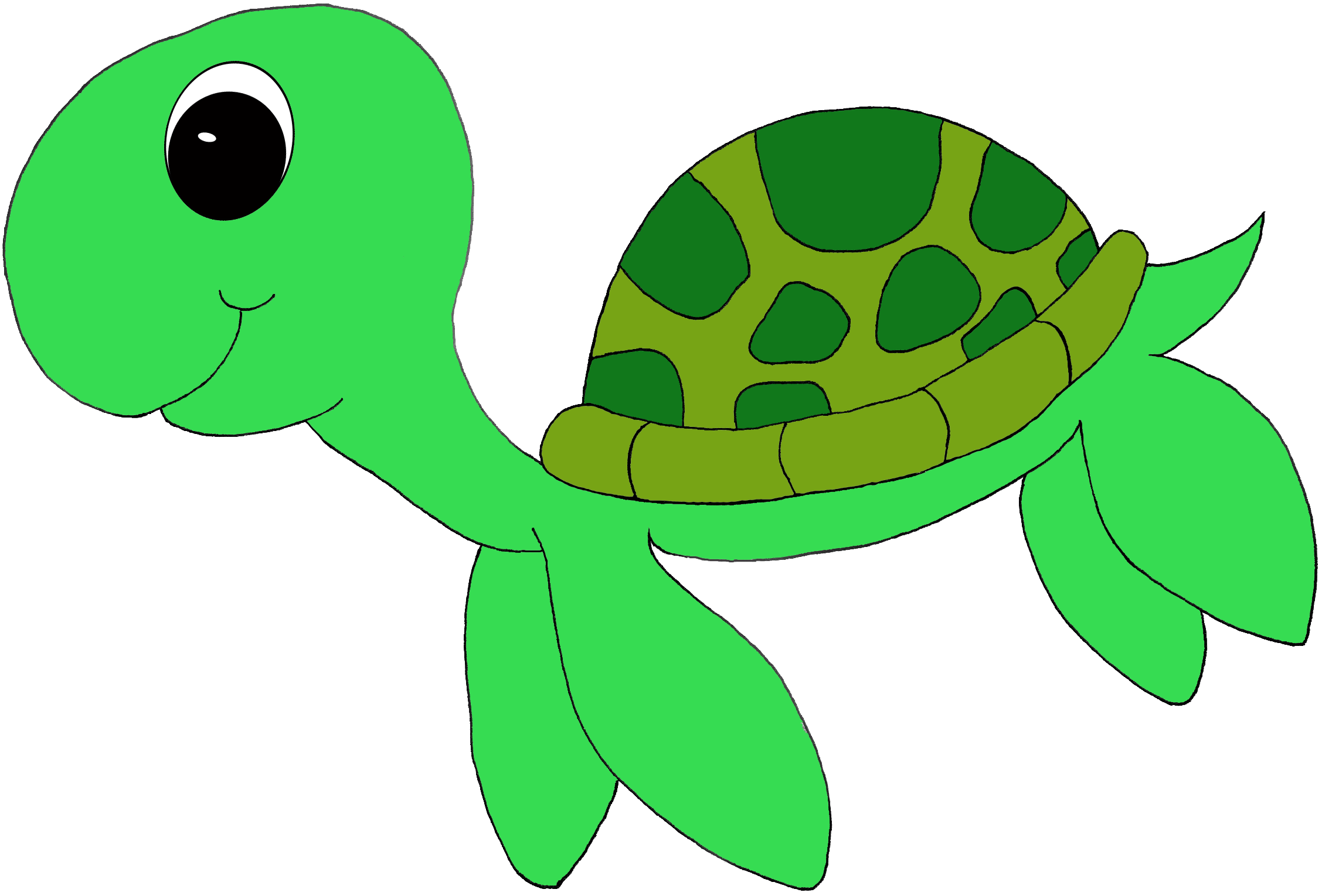 Sea turtle clipart.