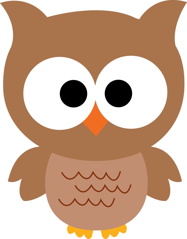 16613 Owl free clipart.