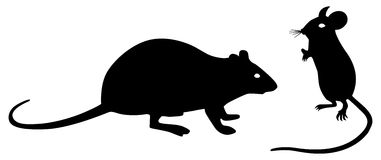 Black rat clipart 2.