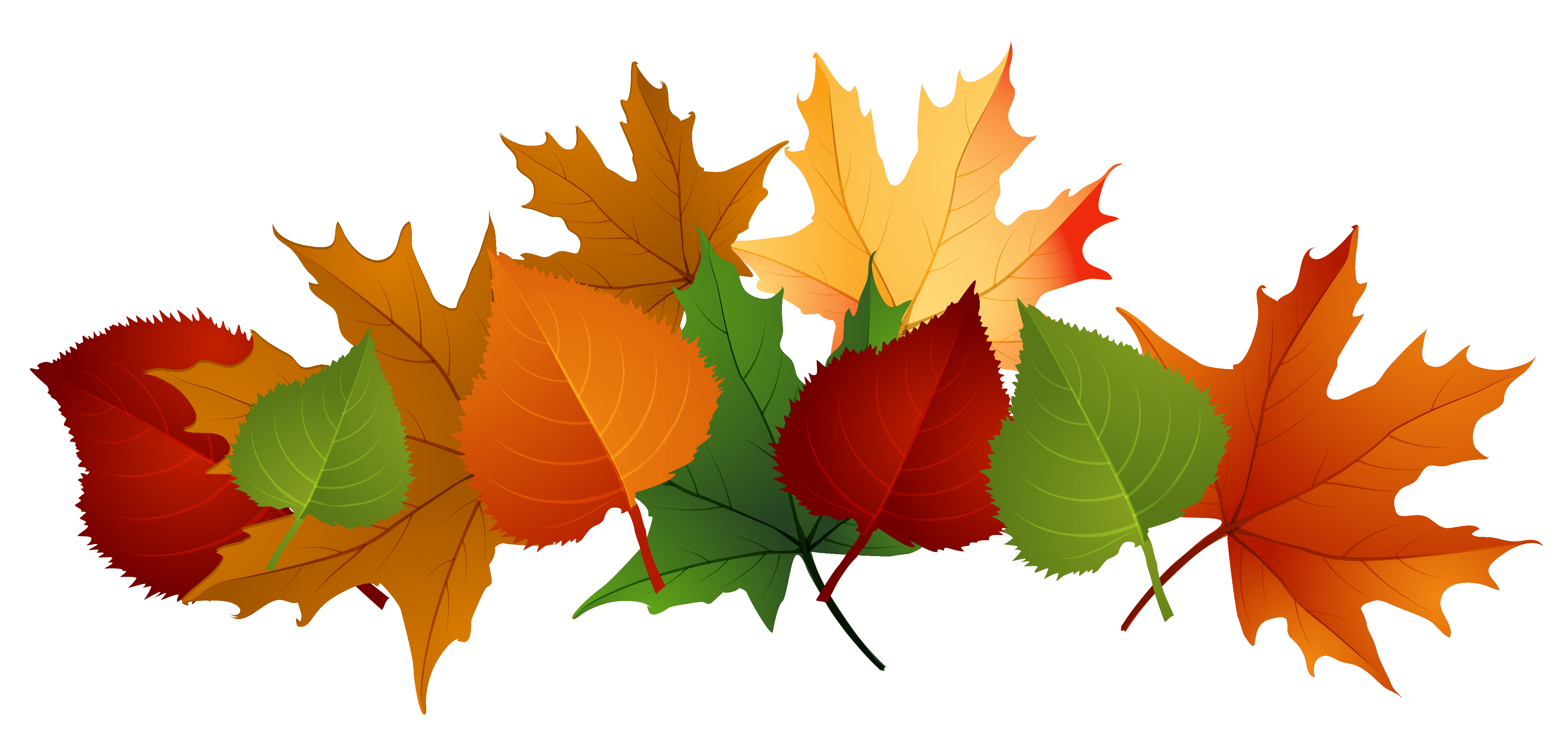 Fall leaf clip art 2.