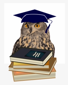 Graduation Clipart PNG Images, Free Transparent Graduation.