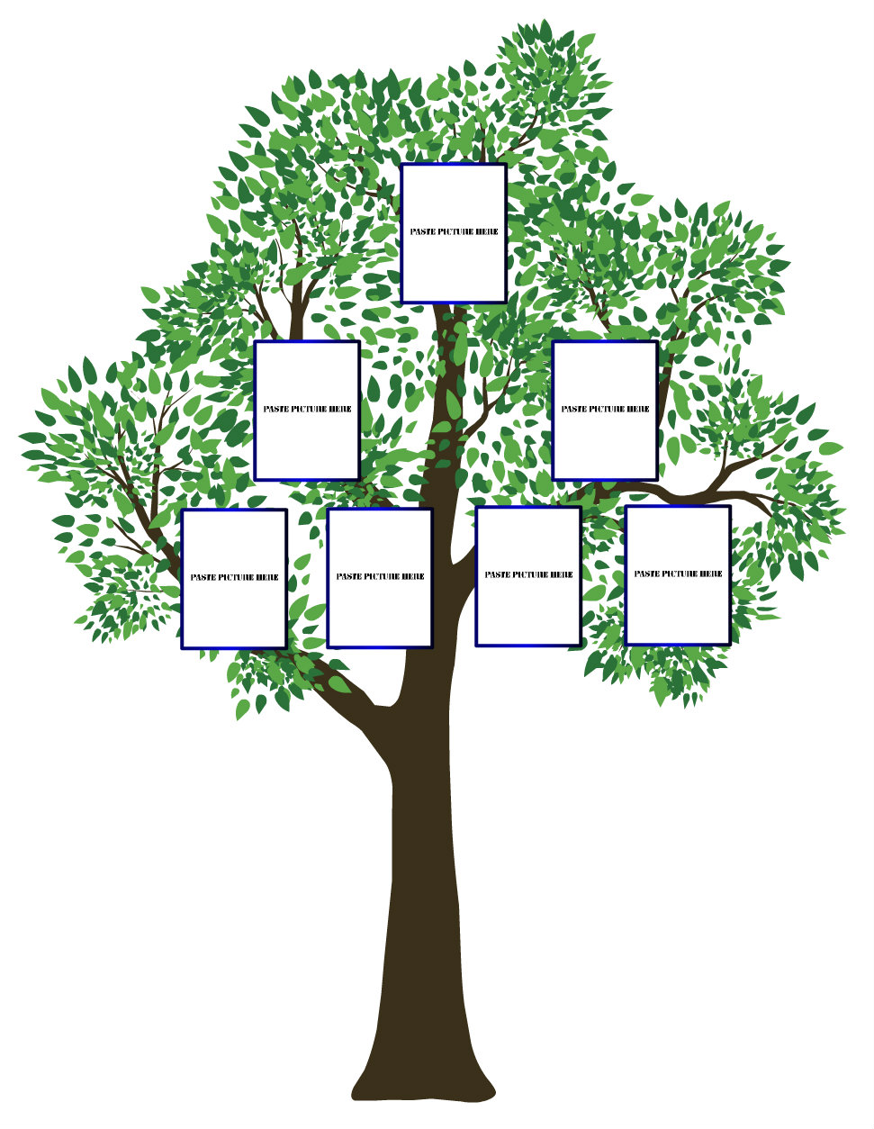 Three Generation Family Tree Templates images.