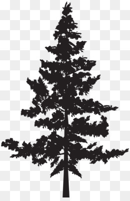 Pine Tree Silhouette PNG.