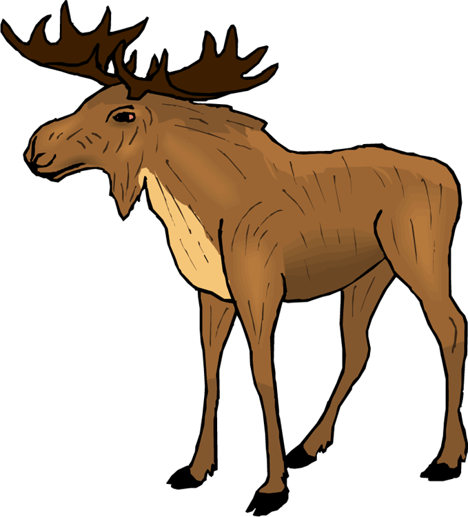 Moose Clipart & Moose Clip Art Images.