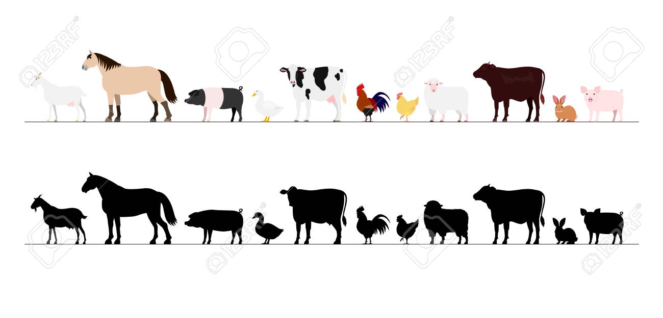 Farm animals border set.