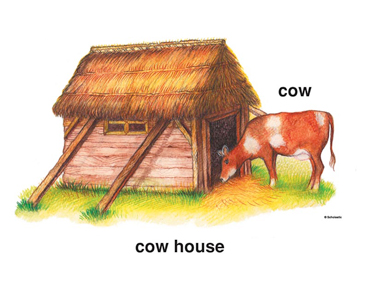 Cow and Cow House.