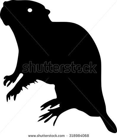 Myocastor Coypus Stock Vectors & Vector Clip Art.