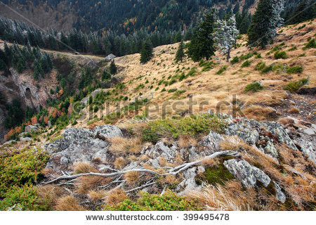 Late Autumn Stock Photos, Royalty.