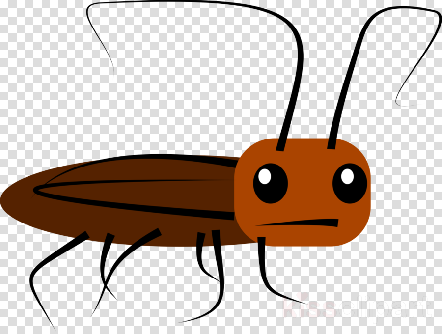 insect pest clip art membrane.