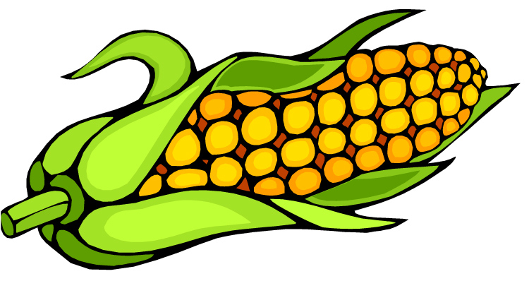 Corn Cob Pictures.