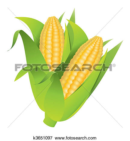 Corn cob Clip Art and Illustration. 1,029 corn cob clipart vector.