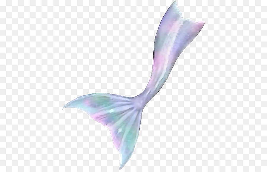 Mermaid Triton Tail Drawing.