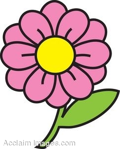 Colorful daisy clip art clipart.