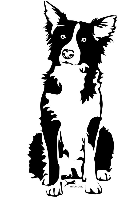 sketch of border collie.