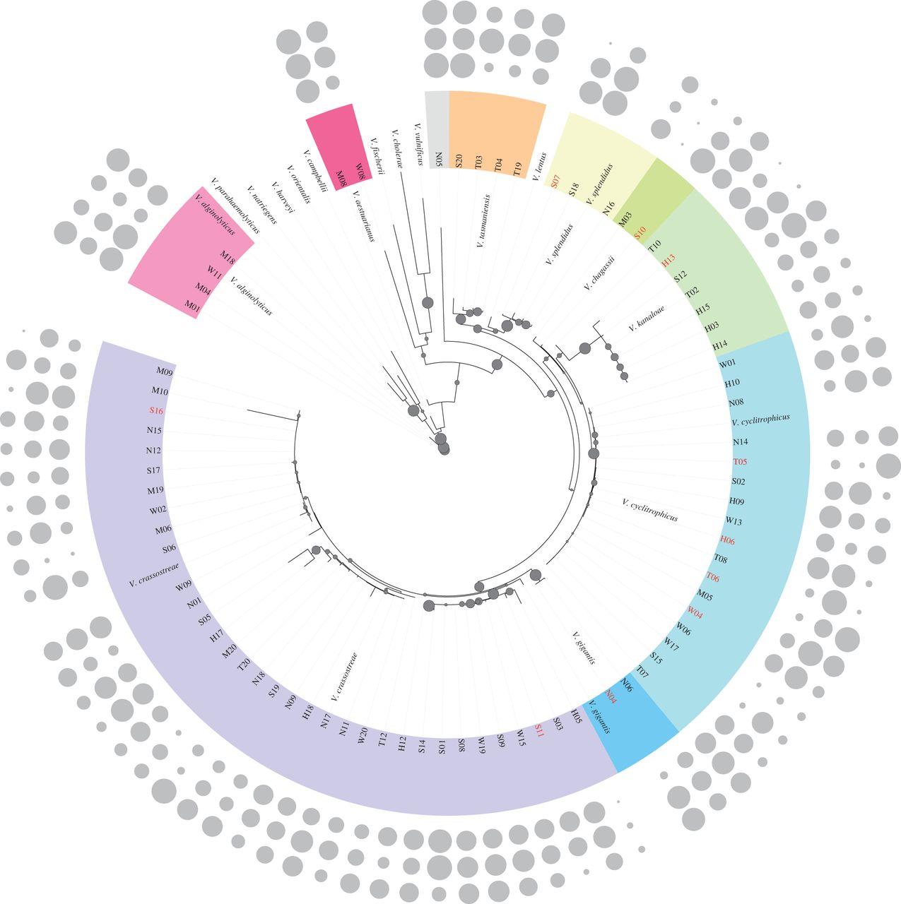 Adaptation to enemy shifts: rapid resistance evolution to local.