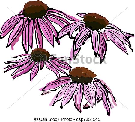 Clipart Vector of Sketchy Echinacea flowers.