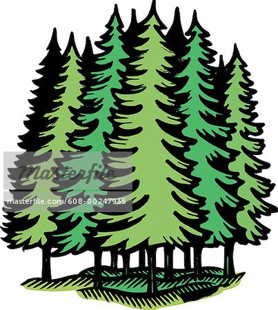 Coniferous Forest Plants Clip Art.