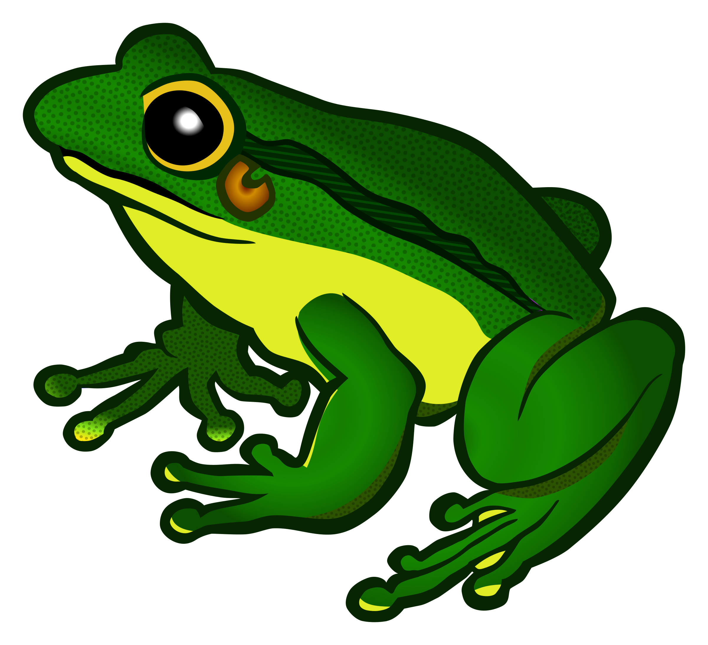 Tree Frogs Clipart.