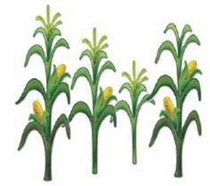 Thanksgiving Corn Field Clipart.