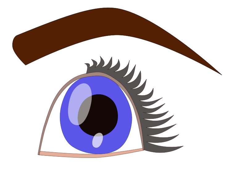 Cornea Clip Art Download.