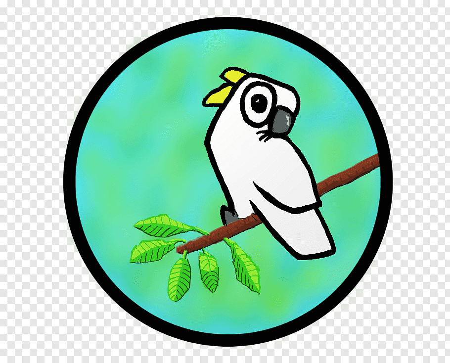 Cacatua cutout PNG & clipart images.