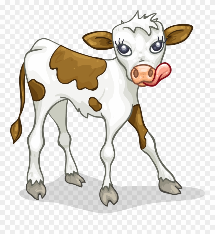 Calf Clipart.