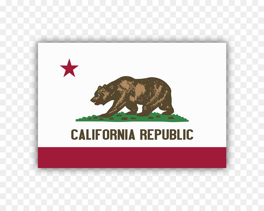 California Bear png download.