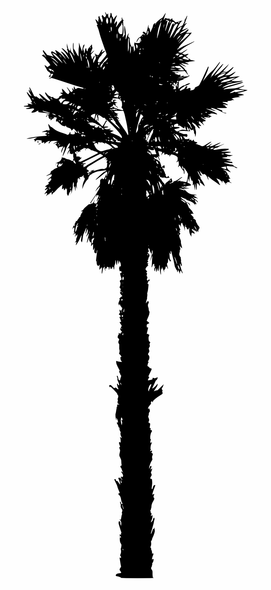 Isolated Palm Tree Silhouette.