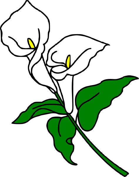 Calla clipart.