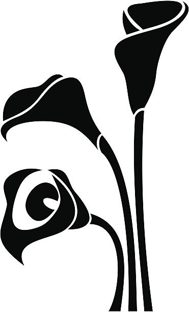 Lily Clipart Black And White.