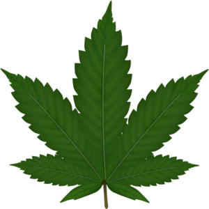 Cannabis Leaf Clip Art at Clker.com.