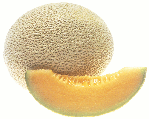 Cantaloupe Clip Art Download.