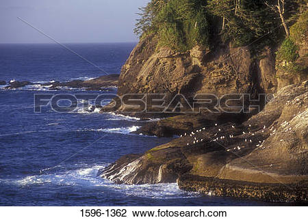 Stock Photo of Rock formations on the coast, Cape Flattery, Makah.