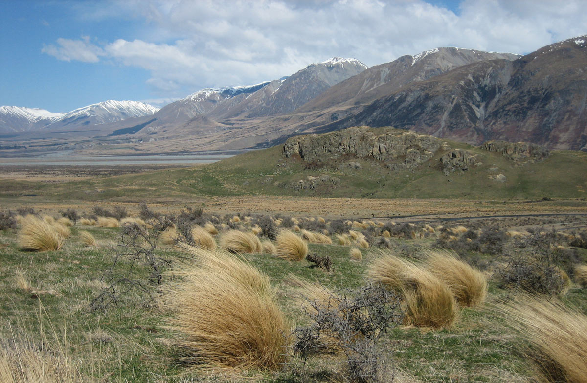 Dimholt road new zealand map images.