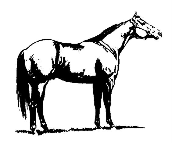 clip art horses.