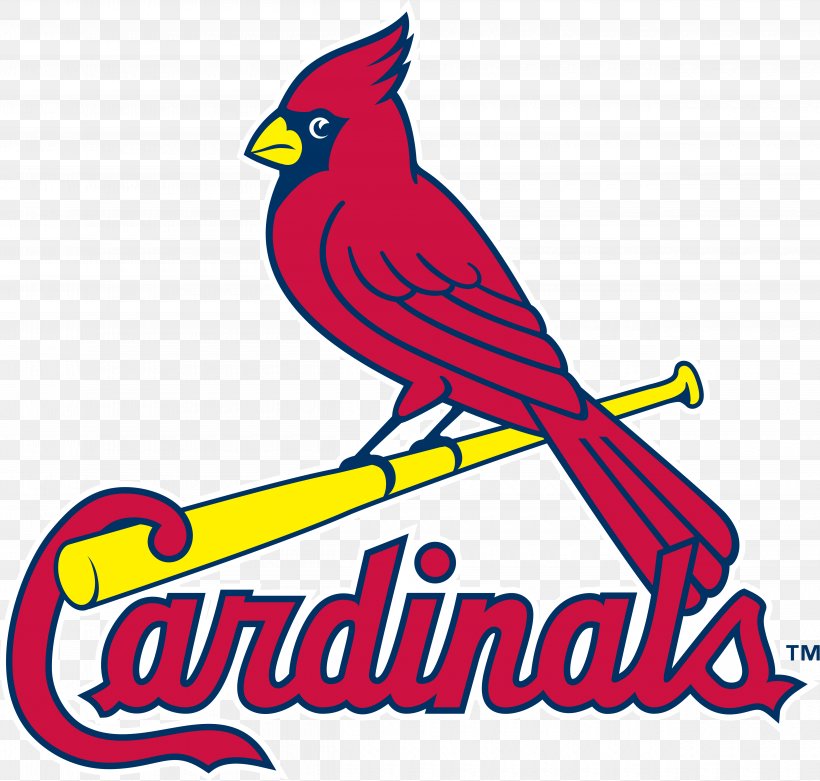 Logos And Uniforms Of The St. Louis Cardinals MLB Busch.