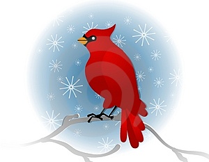 Winter Cardinal Bird Clipart.